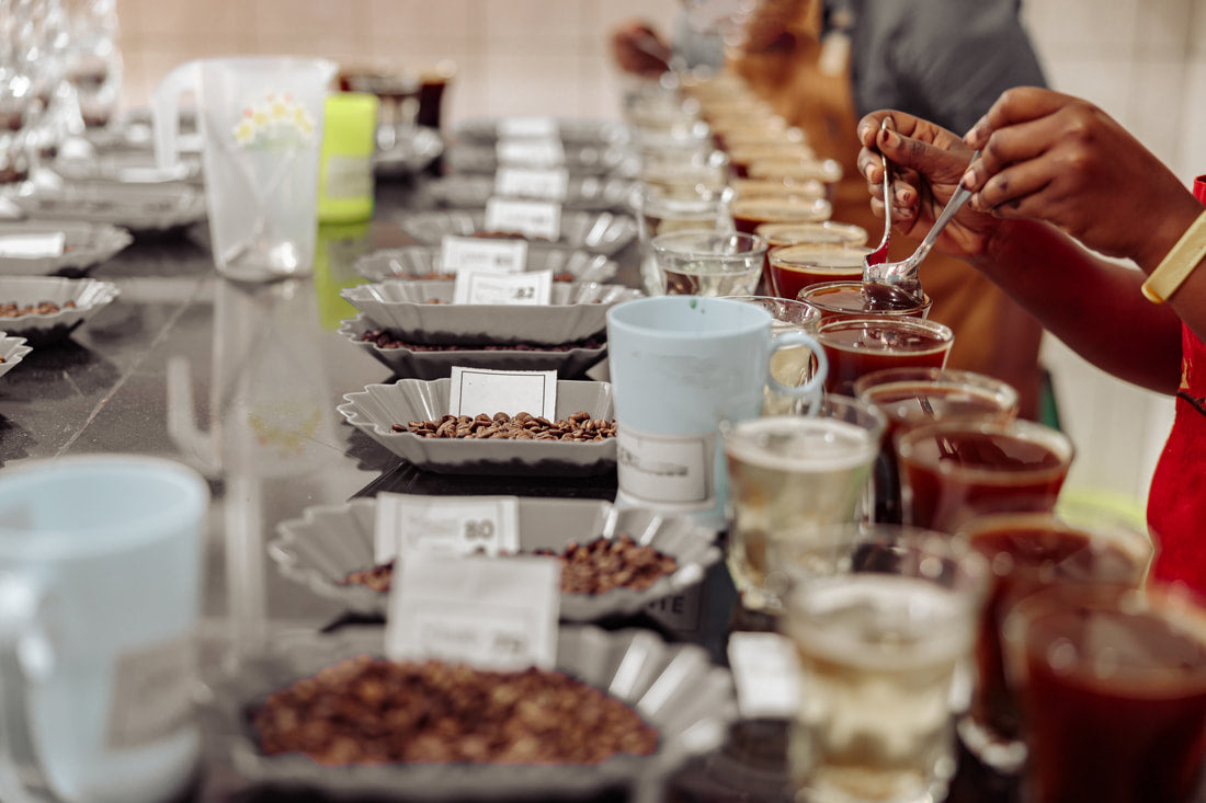 Coffee Pour Over Class